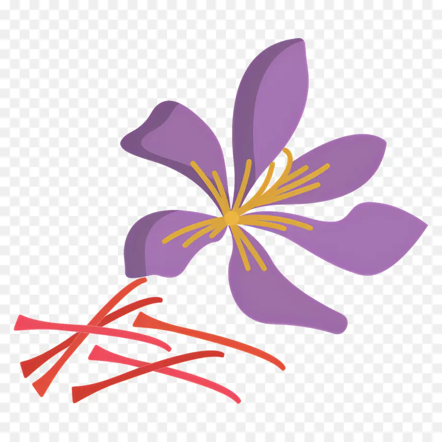 Azafrán，Flor Morada PNG