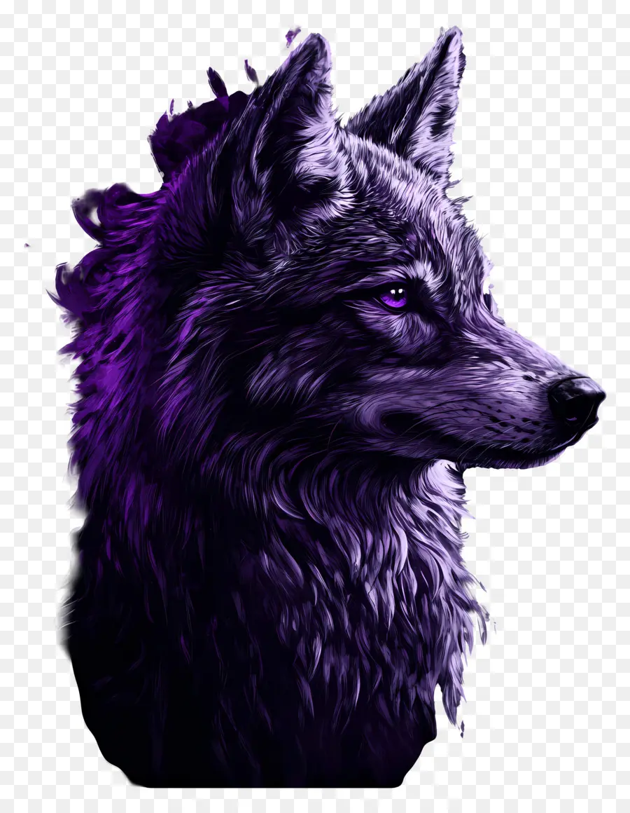 Lobo De Fantasía，Lobo PNG