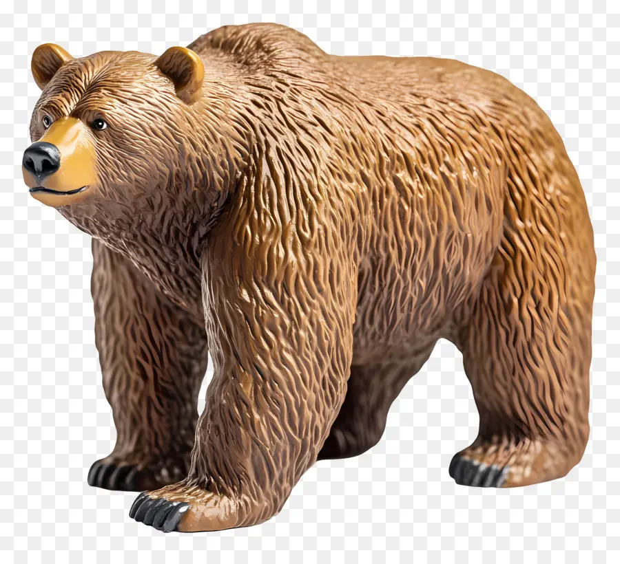 Oso Pardo，Oso PNG