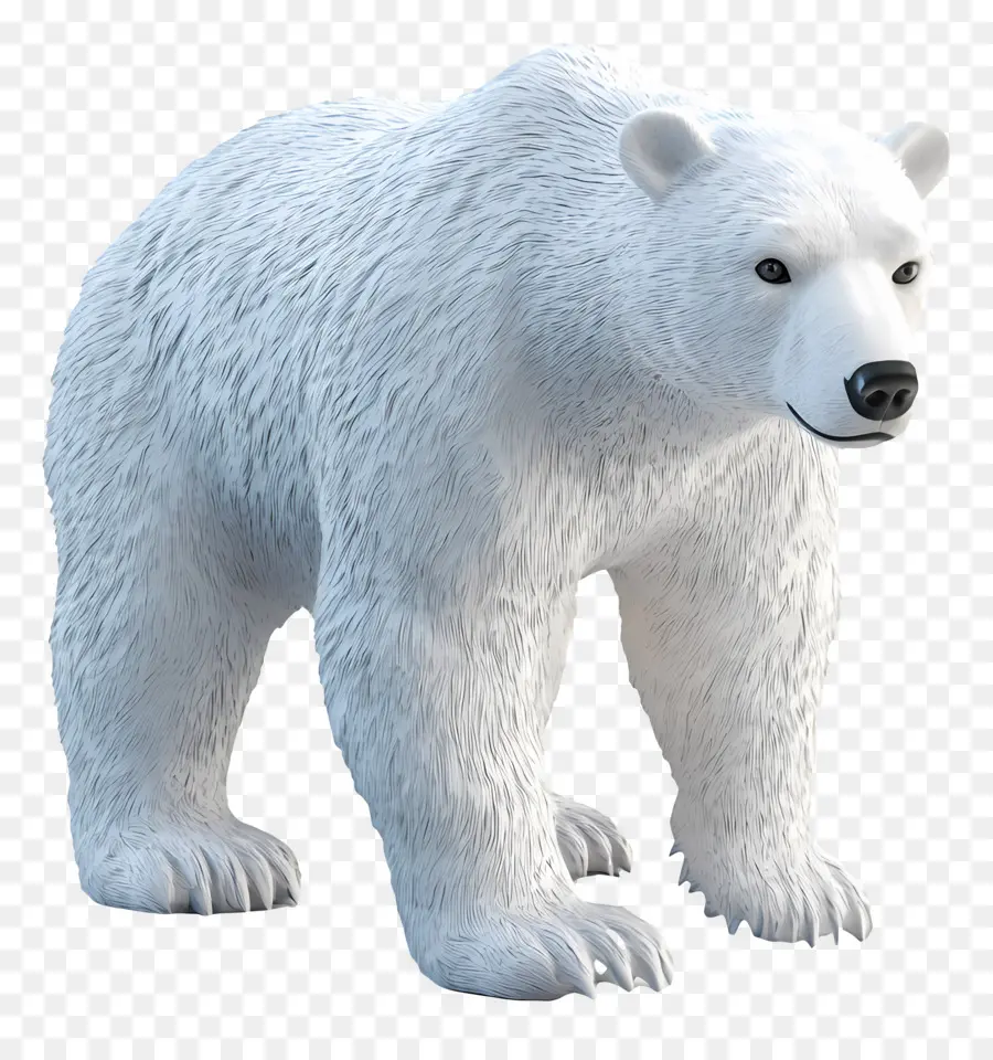 Oso De Hielo，Oso Polar PNG