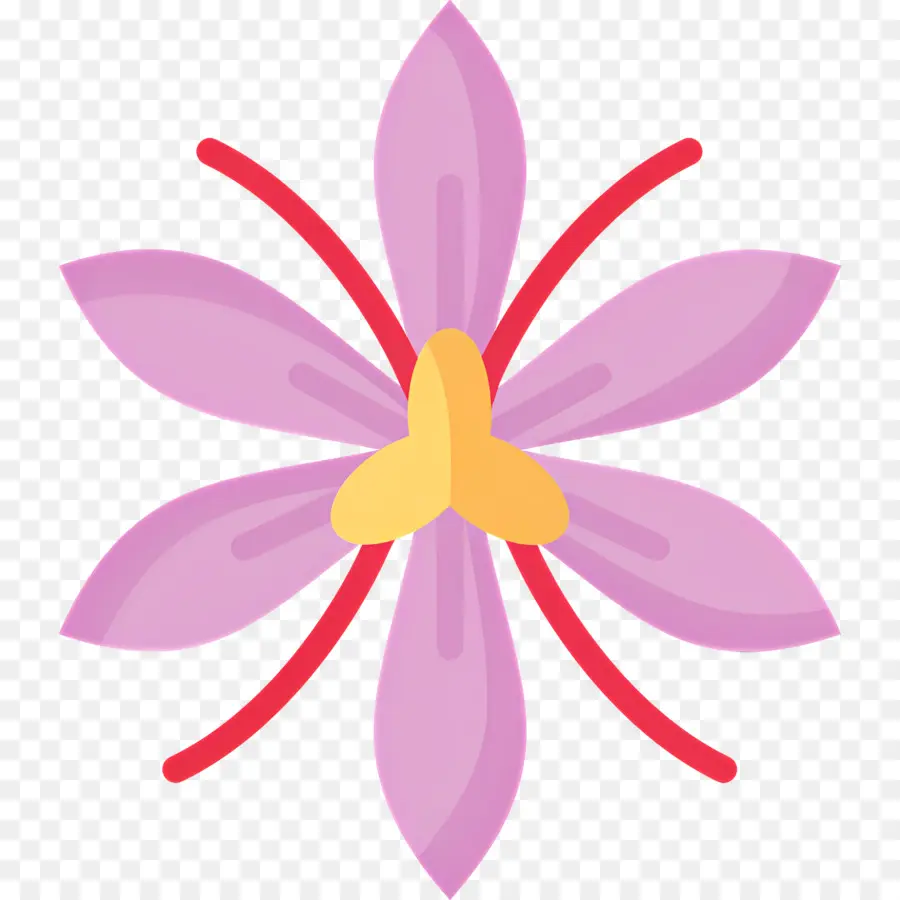 Azafrán，Flor Morada PNG