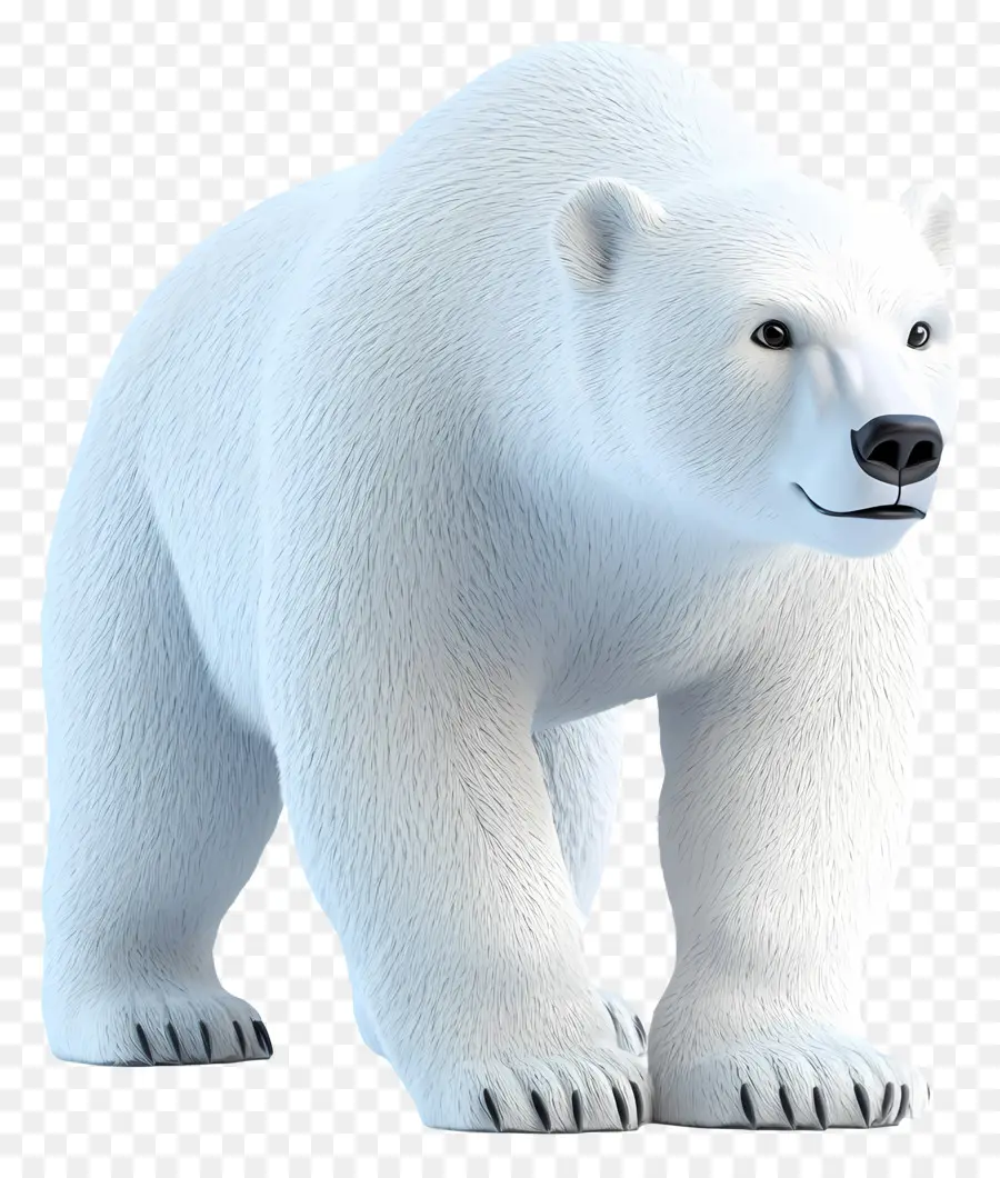 Oso De Hielo，Oso Polar PNG