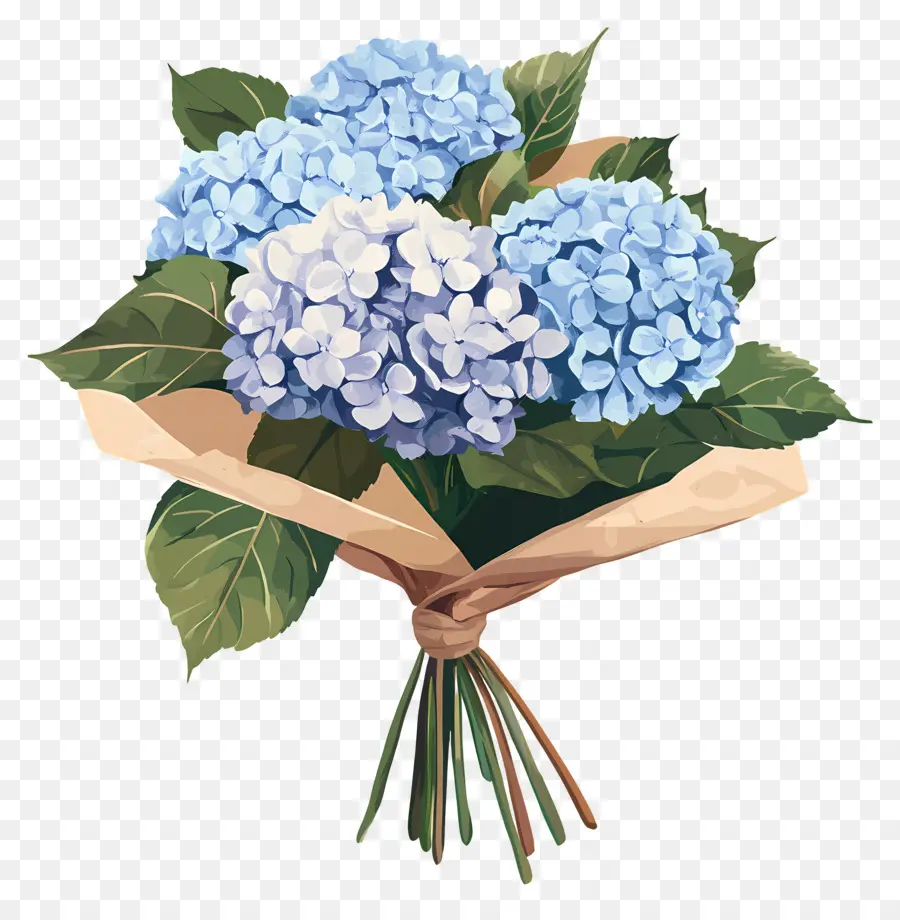 Ramo De Hortensias，Ramo PNG