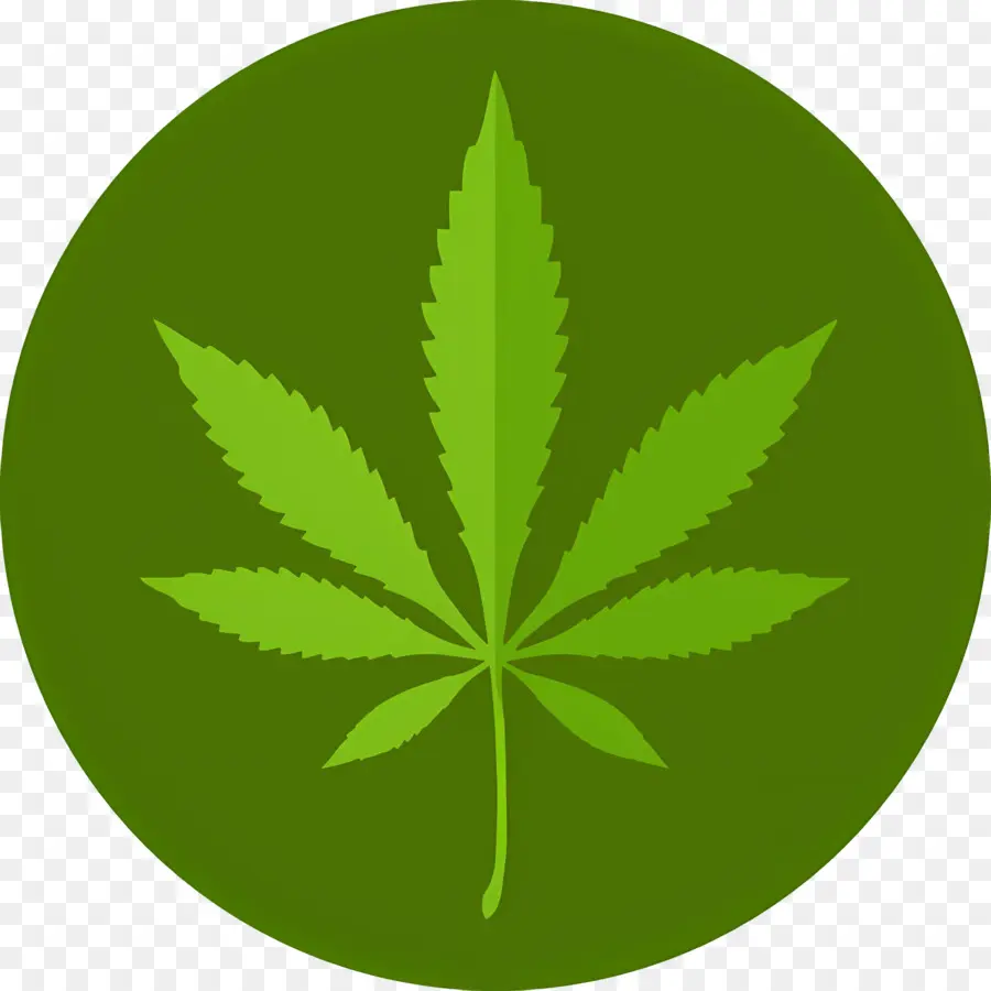 Hoja De Cannabis，Marijuana PNG