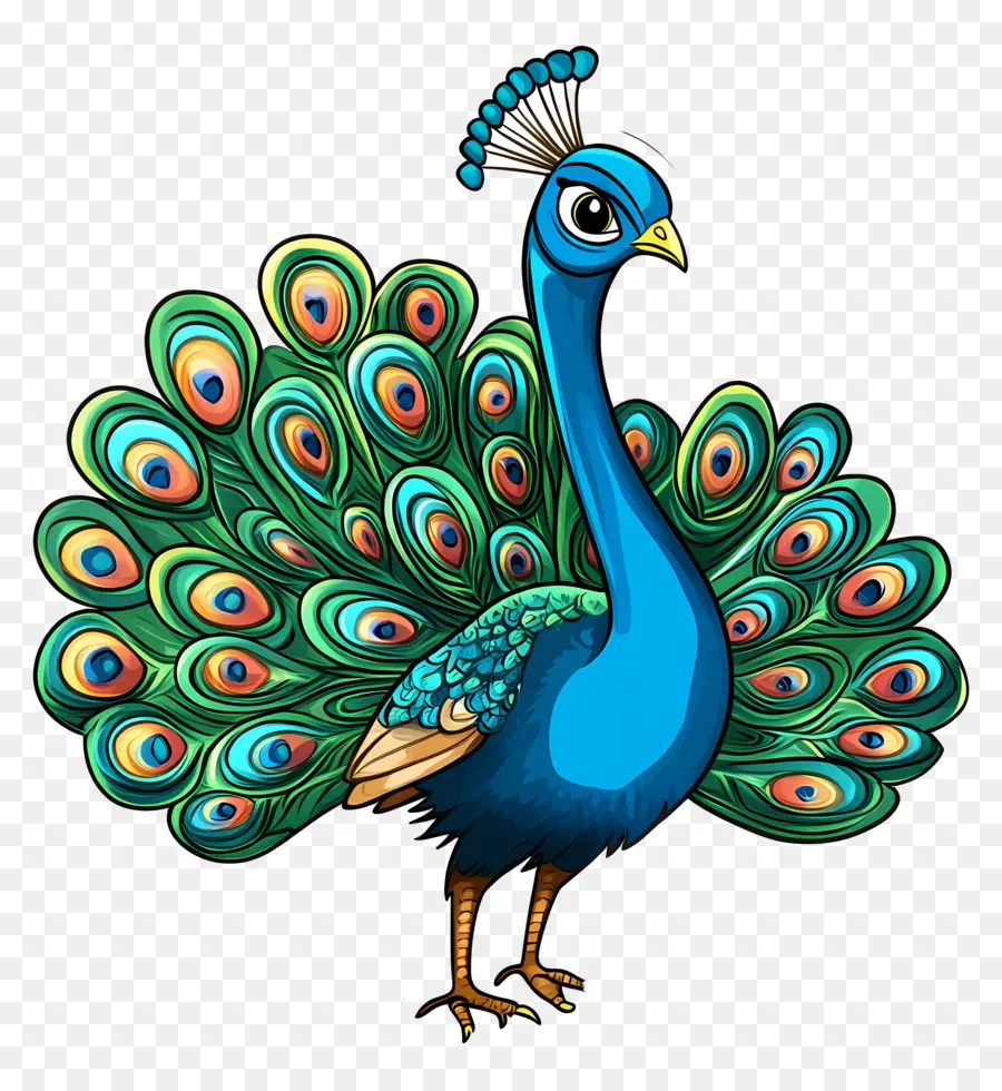 Pavo Real Animado，Pavo Real PNG