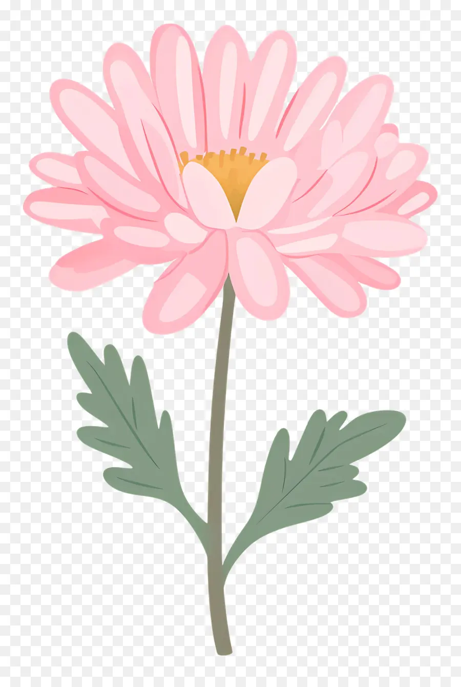 Flor De Crisantemo Rosa，Flor Rosa PNG