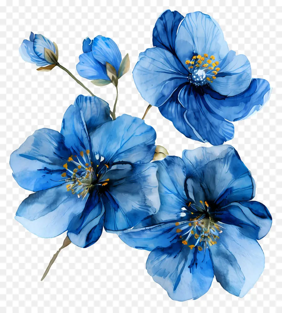 Flores Azules Acuarelas，Flores Azules PNG