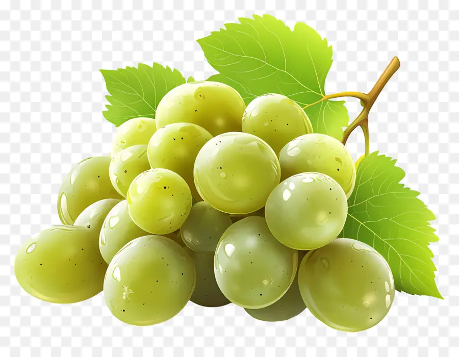 Uva Verde，Uvas Verdes PNG