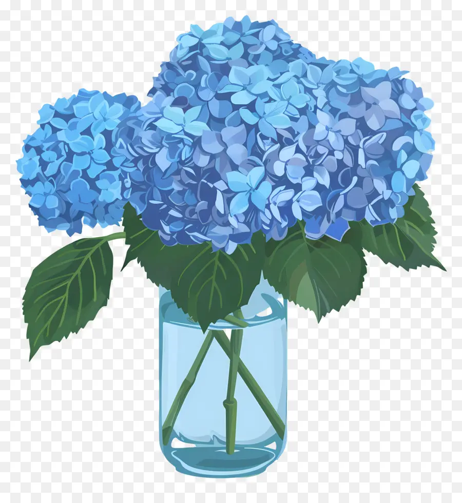 Flor De Hortensia Azul，Flores De Hortensia PNG