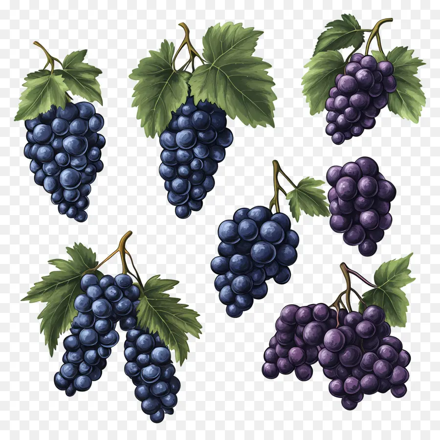 Racimo De Uvas，Uvas PNG