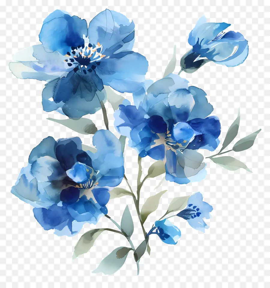 Flores Azules Acuarelas，Flores Azules PNG