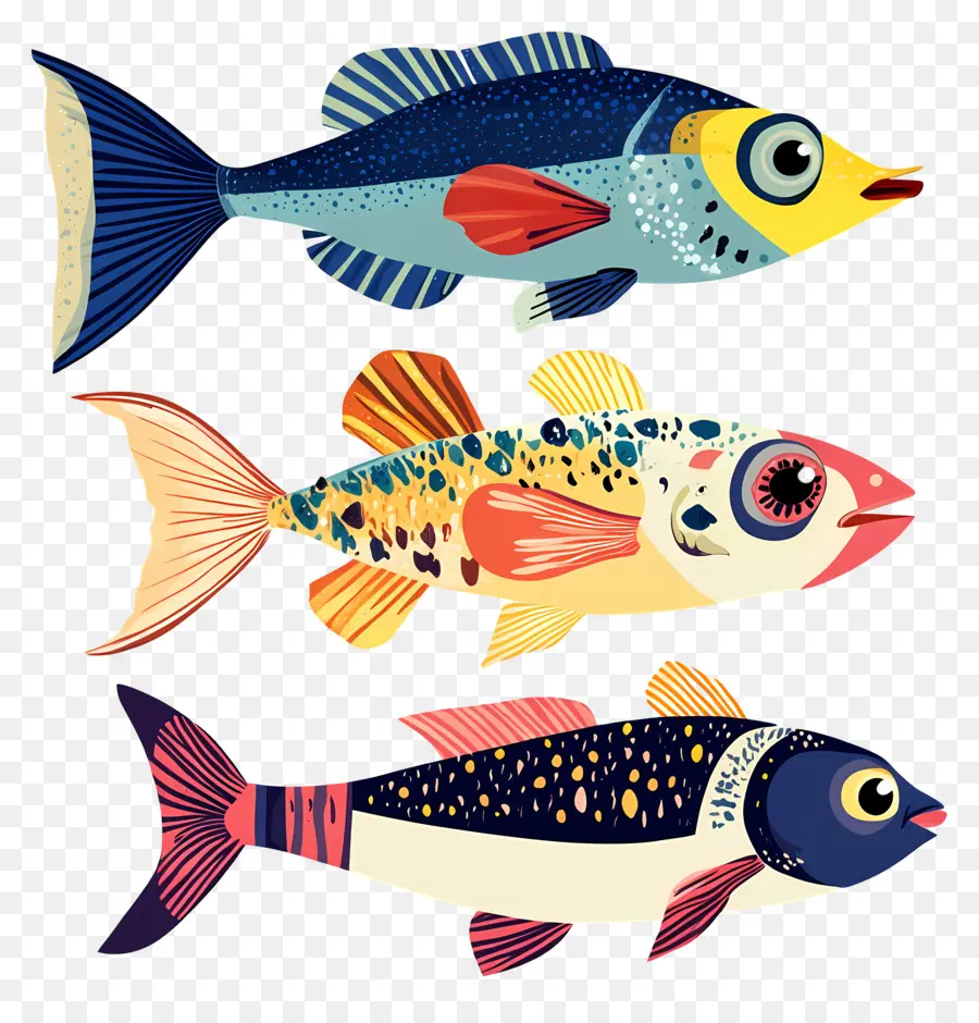 Grupo De Peces，Pez PNG