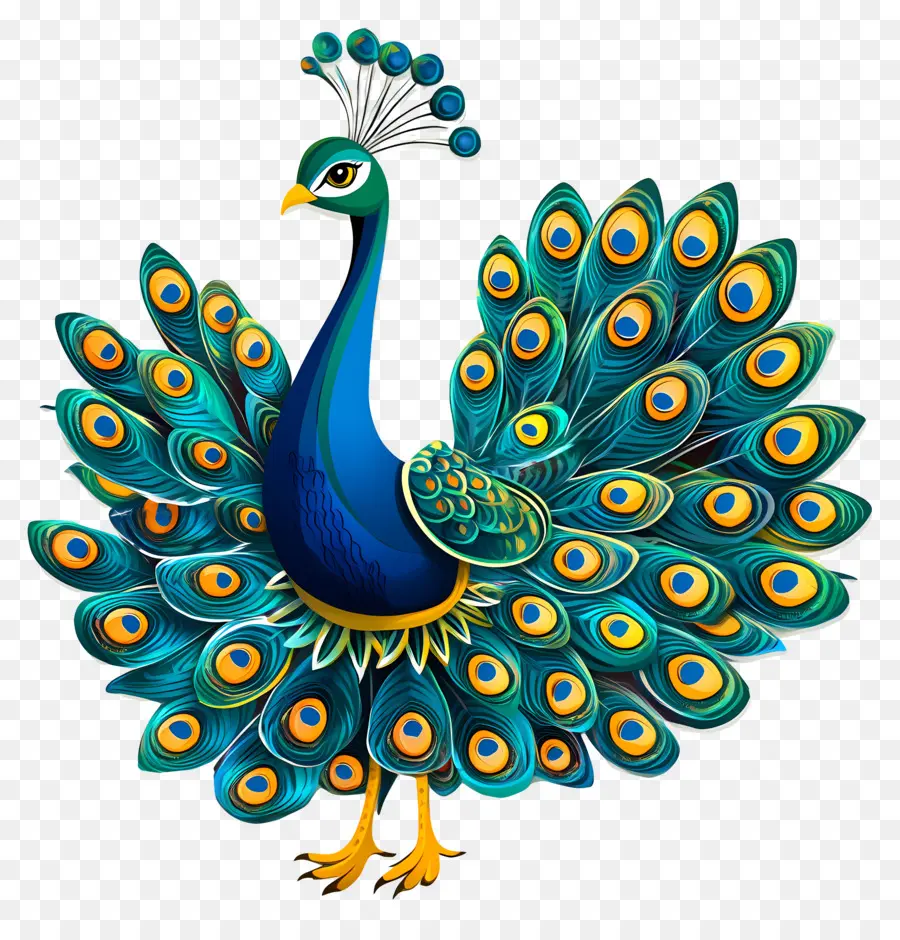 Pavo Real Animado，Pavo Real PNG