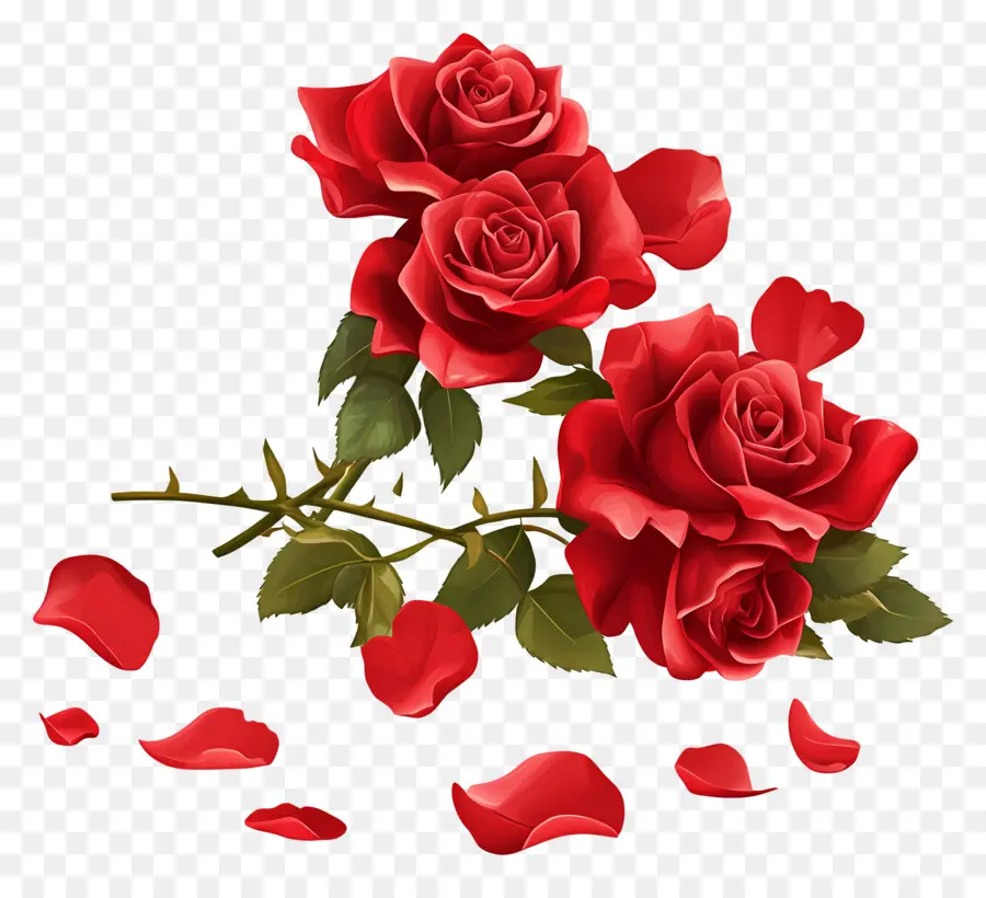 Ramo De Rosas，Rosas Rojas PNG