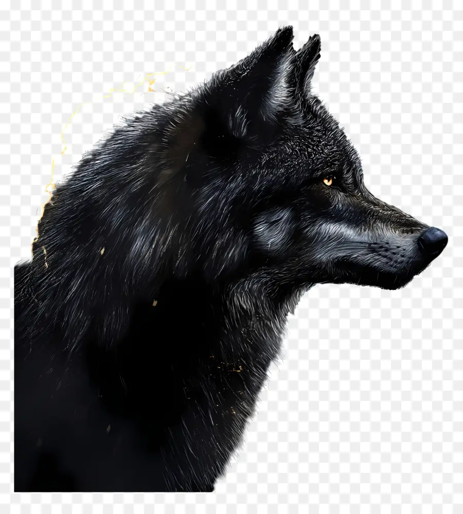 Lobo De Fantasía，Lobo PNG