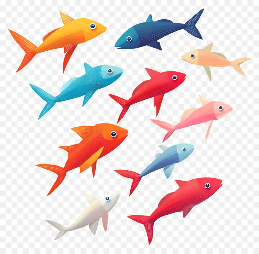 Grupo De Peces，Peces Coloridos PNG