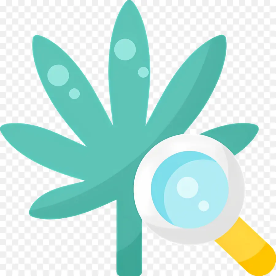 Hoja De Cannabis，Hoja Con Lupa PNG