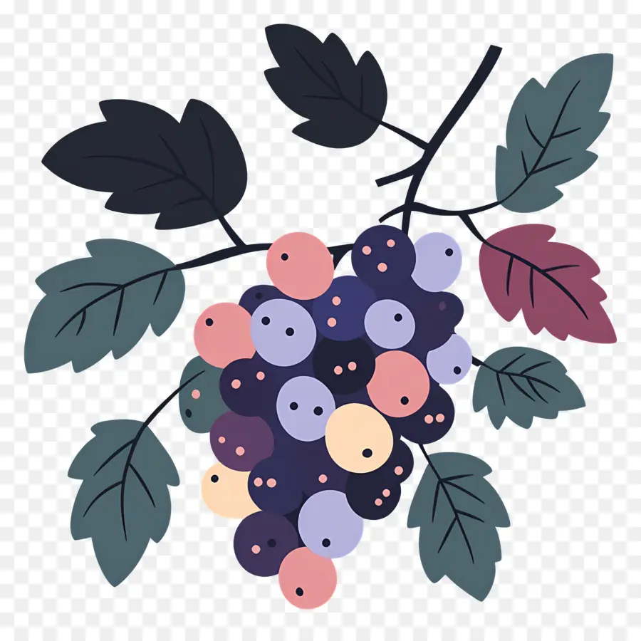 Racimo De Uvas，Uvas PNG