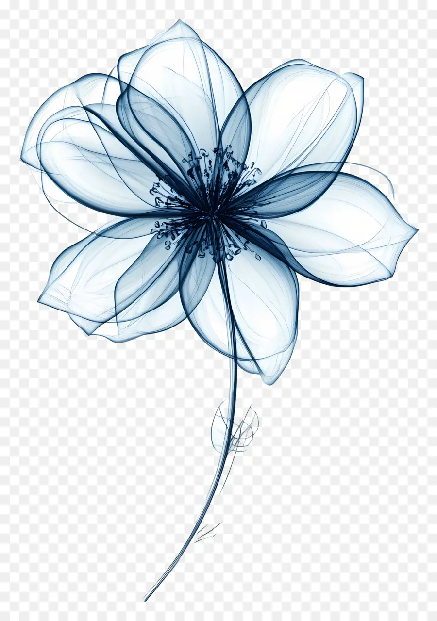 Flor De Línea，Flor Azul Transparente PNG