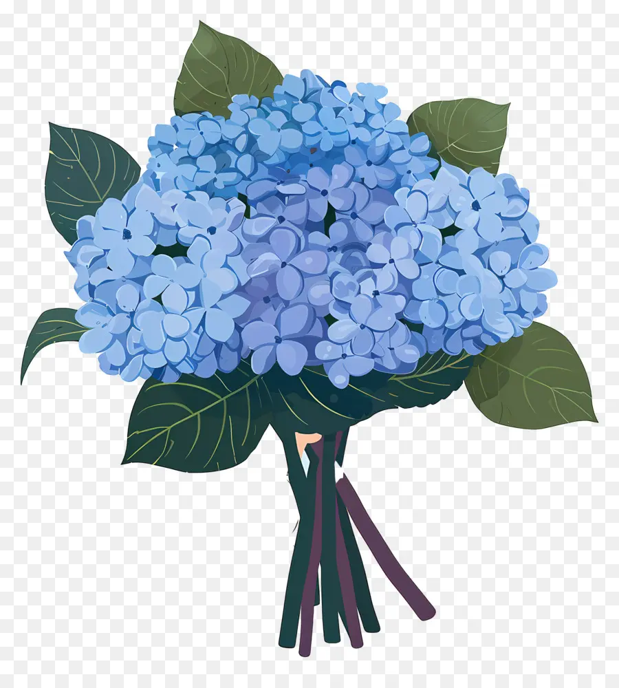 Ramo De Hortensias，Hortensia PNG