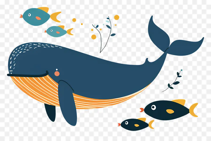 Ballena Y Pez，Ballenas PNG