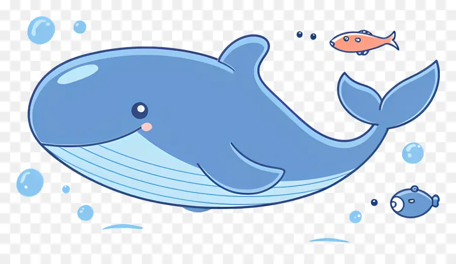 Ballena Y Pez，Ballena PNG