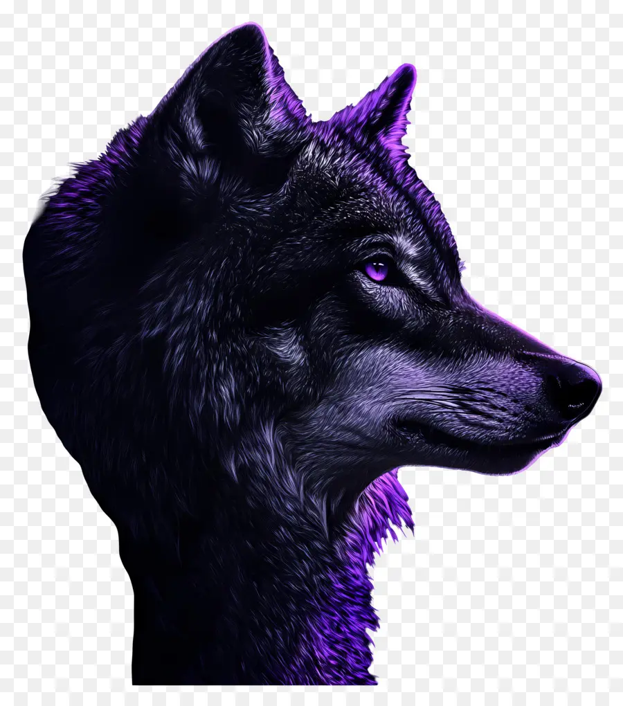 Lobo De Fantasía，Lobo PNG