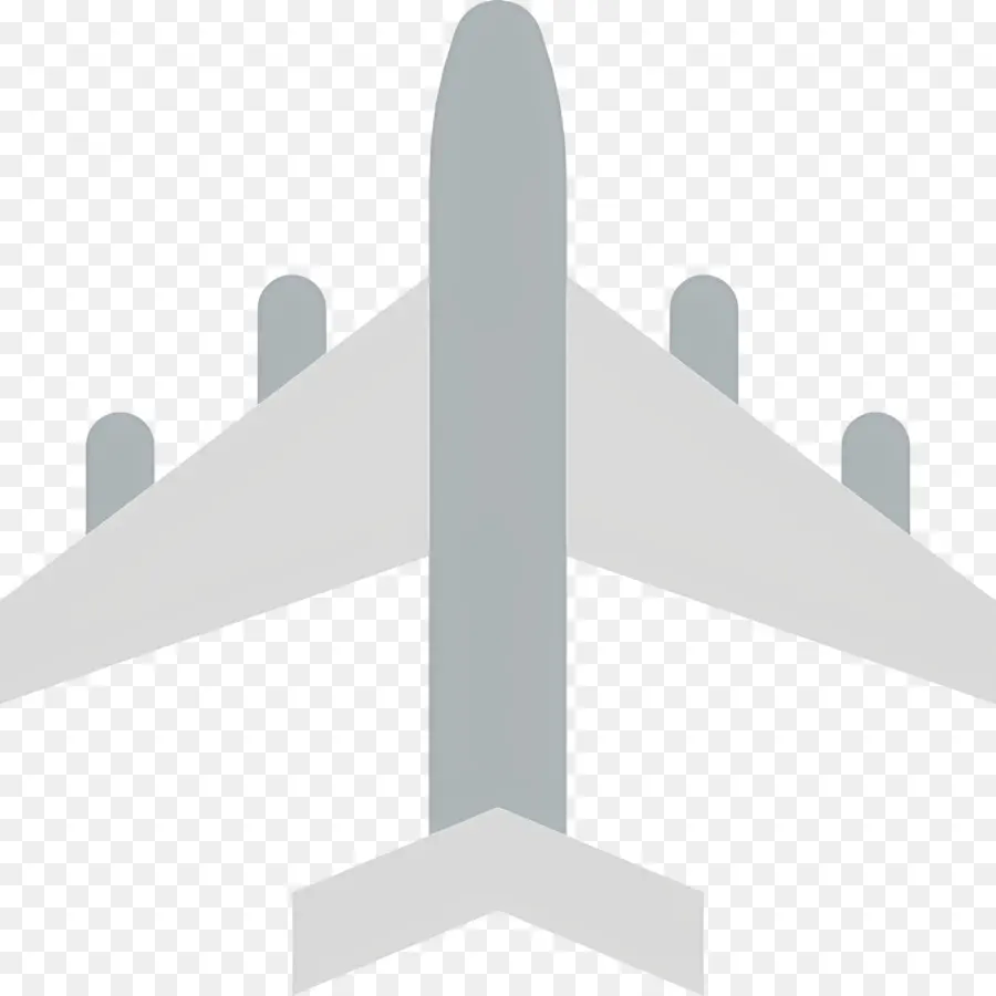 Avión，Vuelo PNG