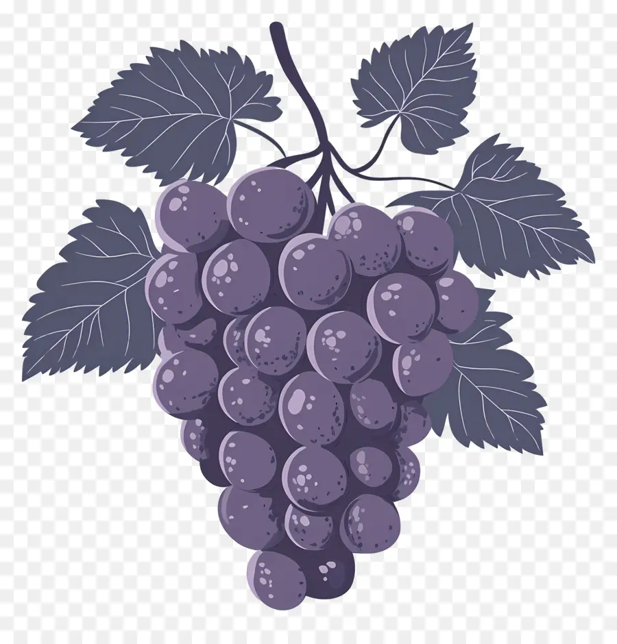 Racimo De Uvas，Uvas PNG