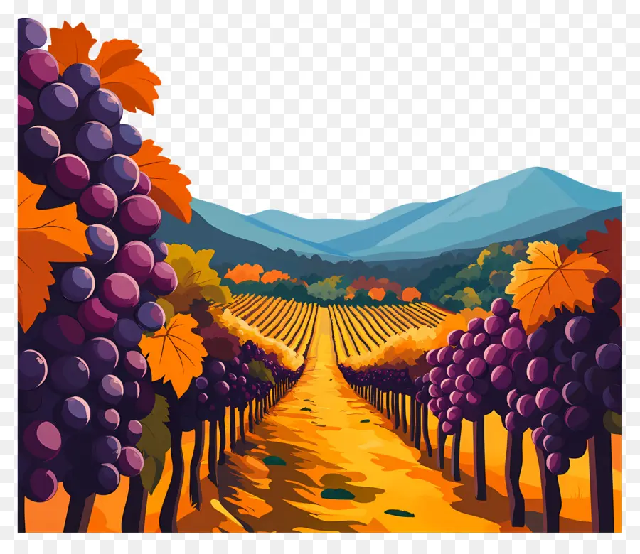 Viñedo，Uvas PNG