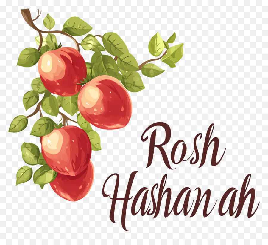 Rosh Hashaná，Manzanas PNG