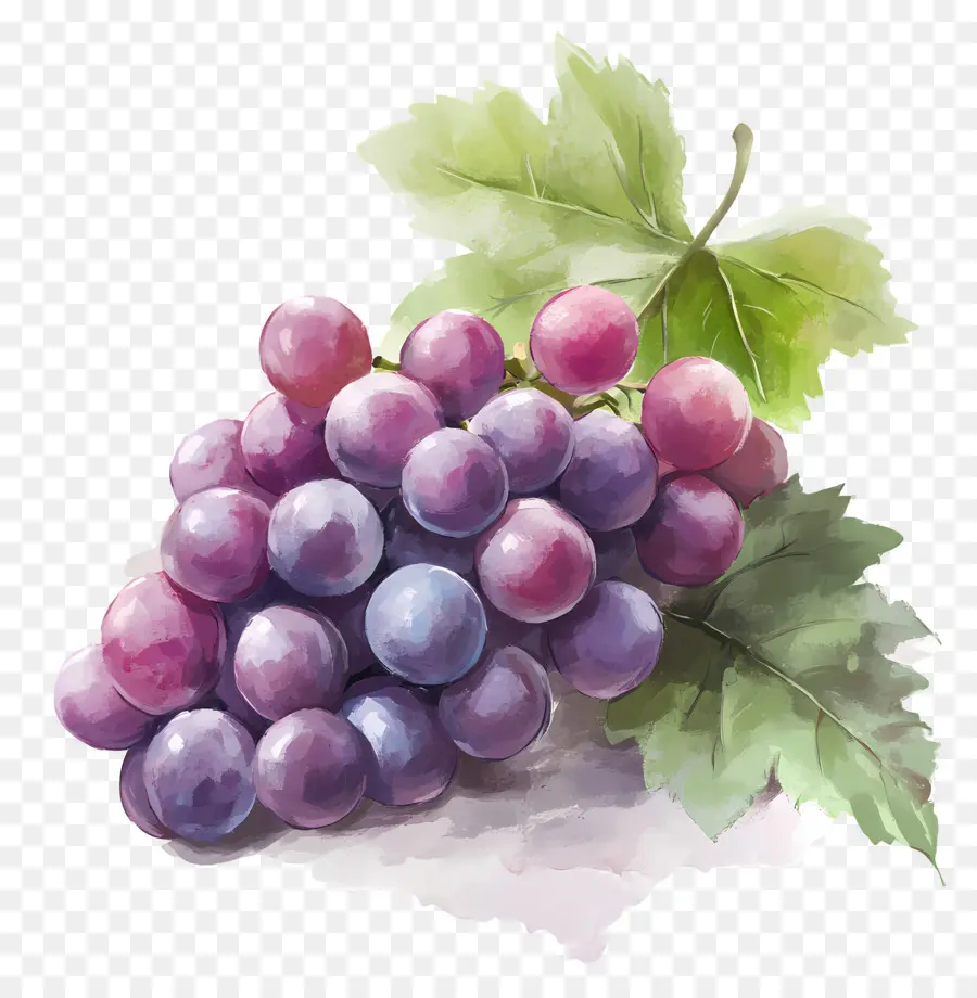 Racimo De Uva，Uvas PNG