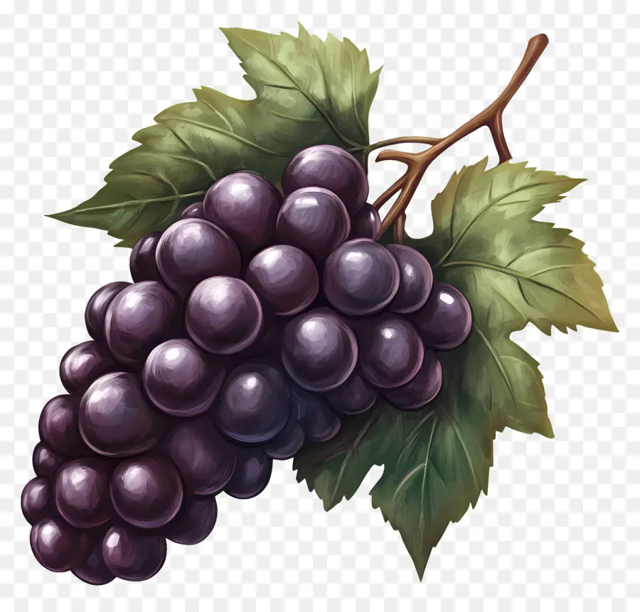 Racimo De Uva，Uvas PNG