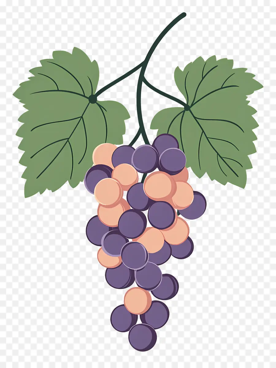 Racimo De Uvas，Uvas PNG