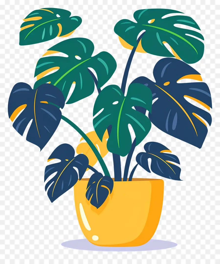 Planta Monstera，Planta En Maceta PNG