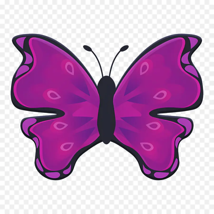 Mariposa Morada，Mariposa Rosa PNG