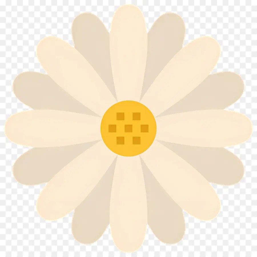 Flor De Margarita，Flor Beige PNG