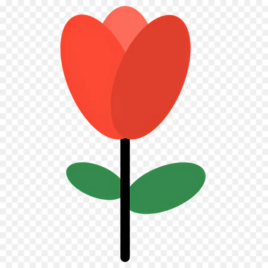 Flor Rosa，Tulipán Rojo PNG