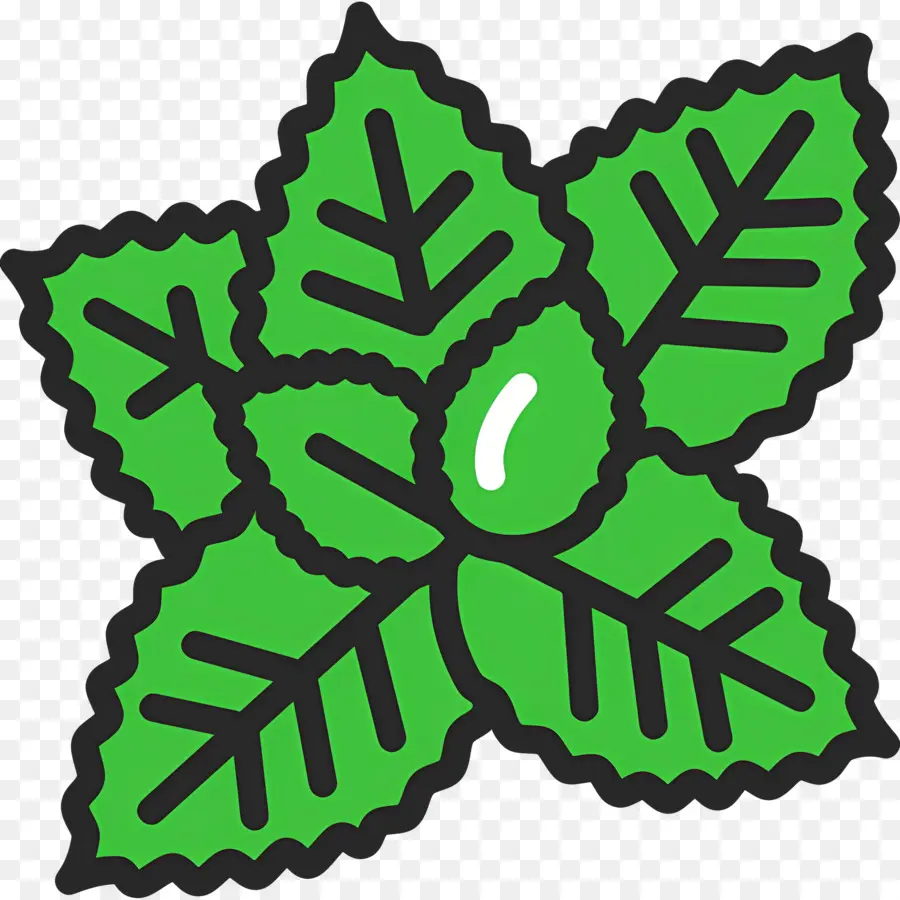 Albahaca，Hojas Verdes PNG