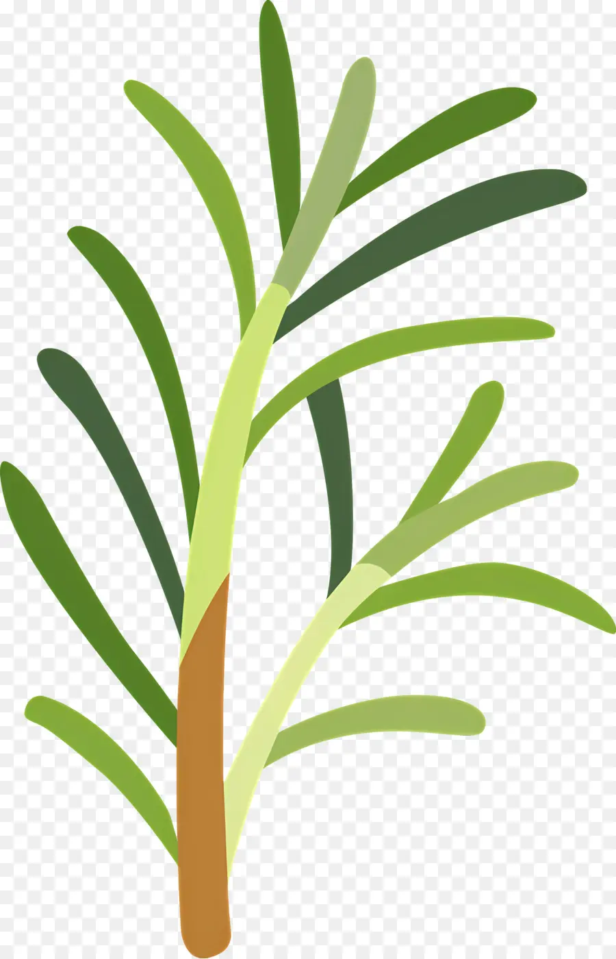 Romero，Planta PNG