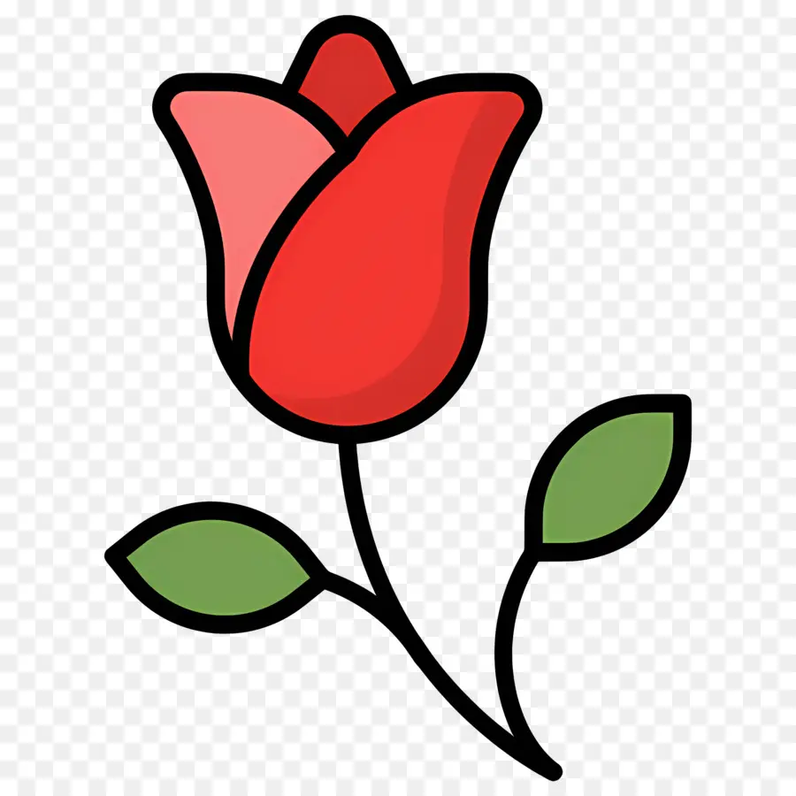 Flor Roja，Tulipán Rosa PNG