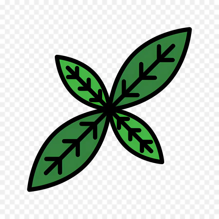 Albahaca，Hojas Verdes PNG