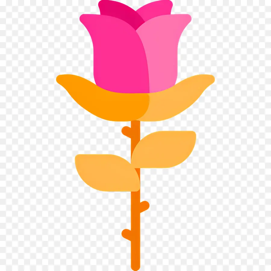 Flor Rosa，Planta PNG