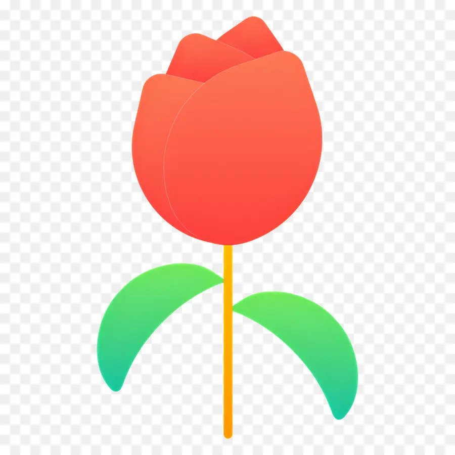 Flor Roja，Tulipán Rojo PNG