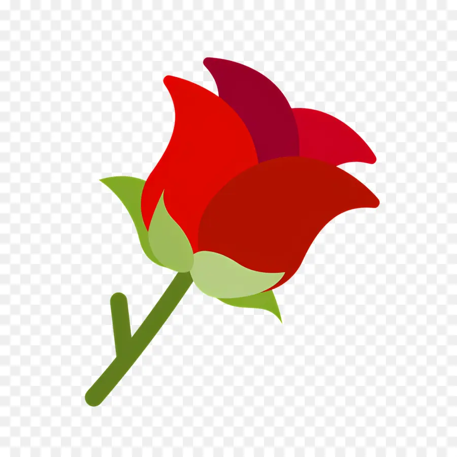 Flor Roja，Rosa PNG