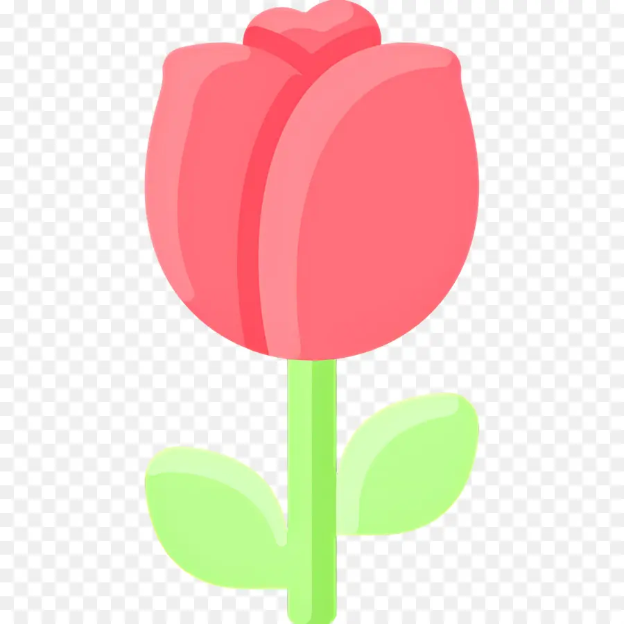 Flor Rosa，Planta PNG