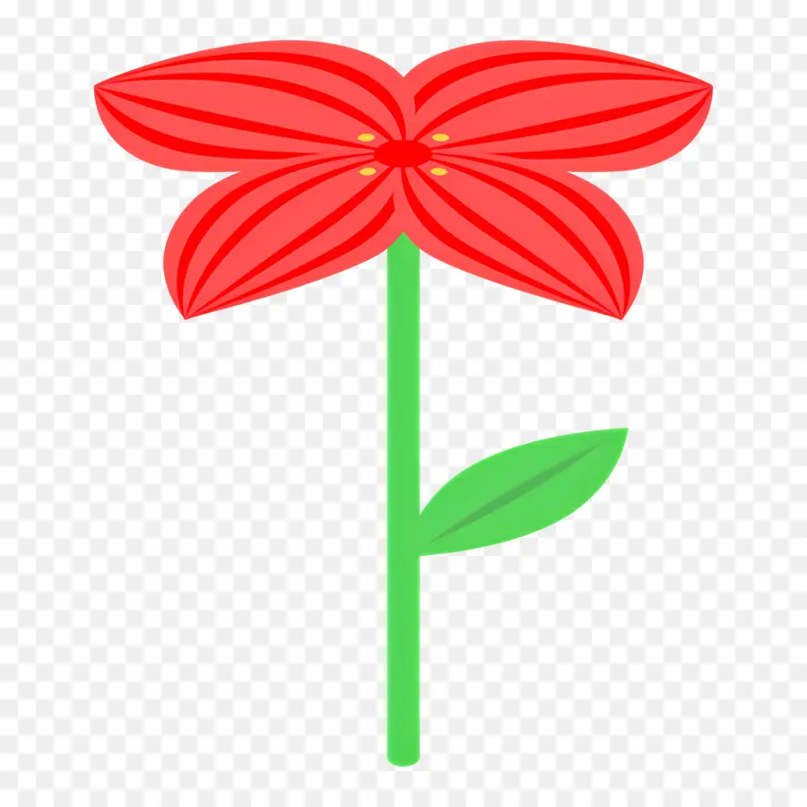 Flor Roja，Provenir PNG