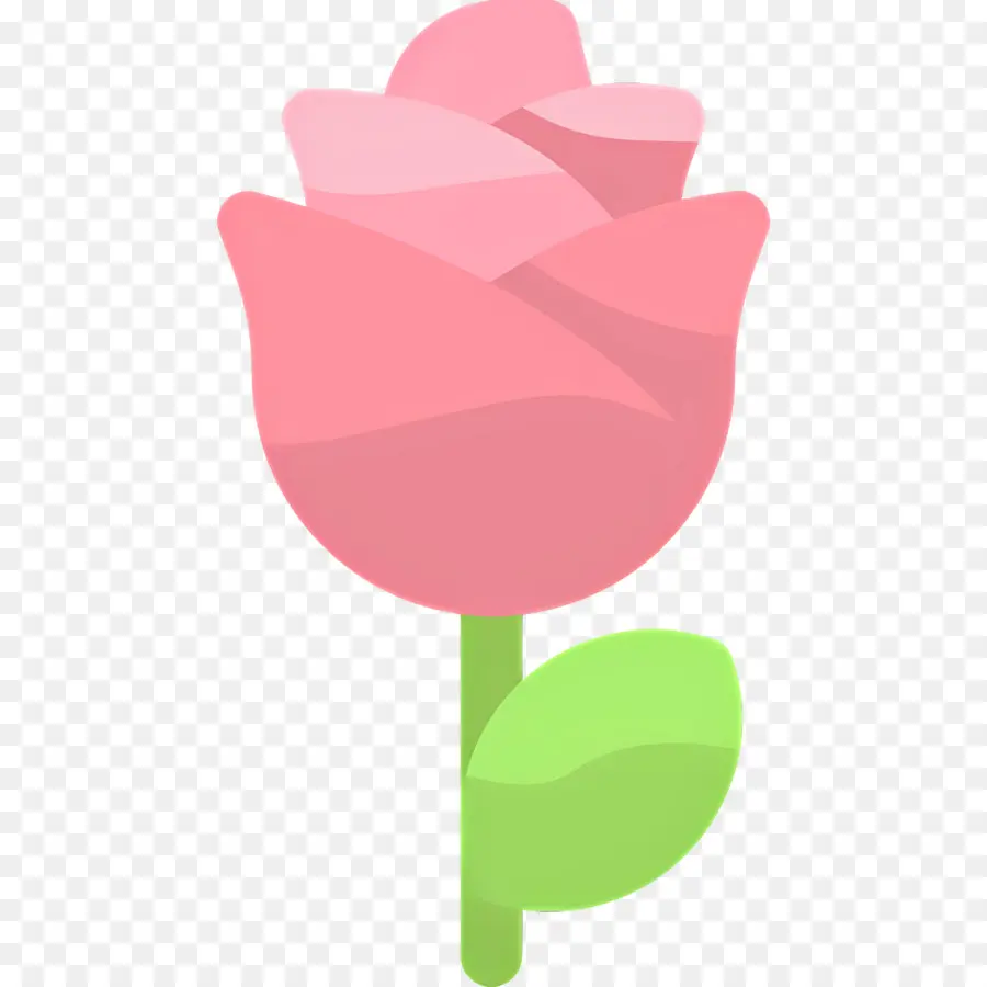 Flor Rosa，Rosa PNG