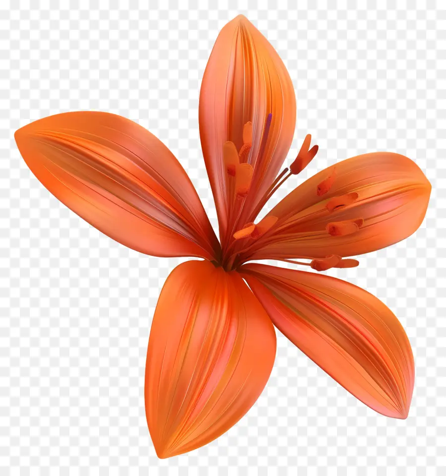 Flor De Azafrán 3d，Flor De Naranja PNG