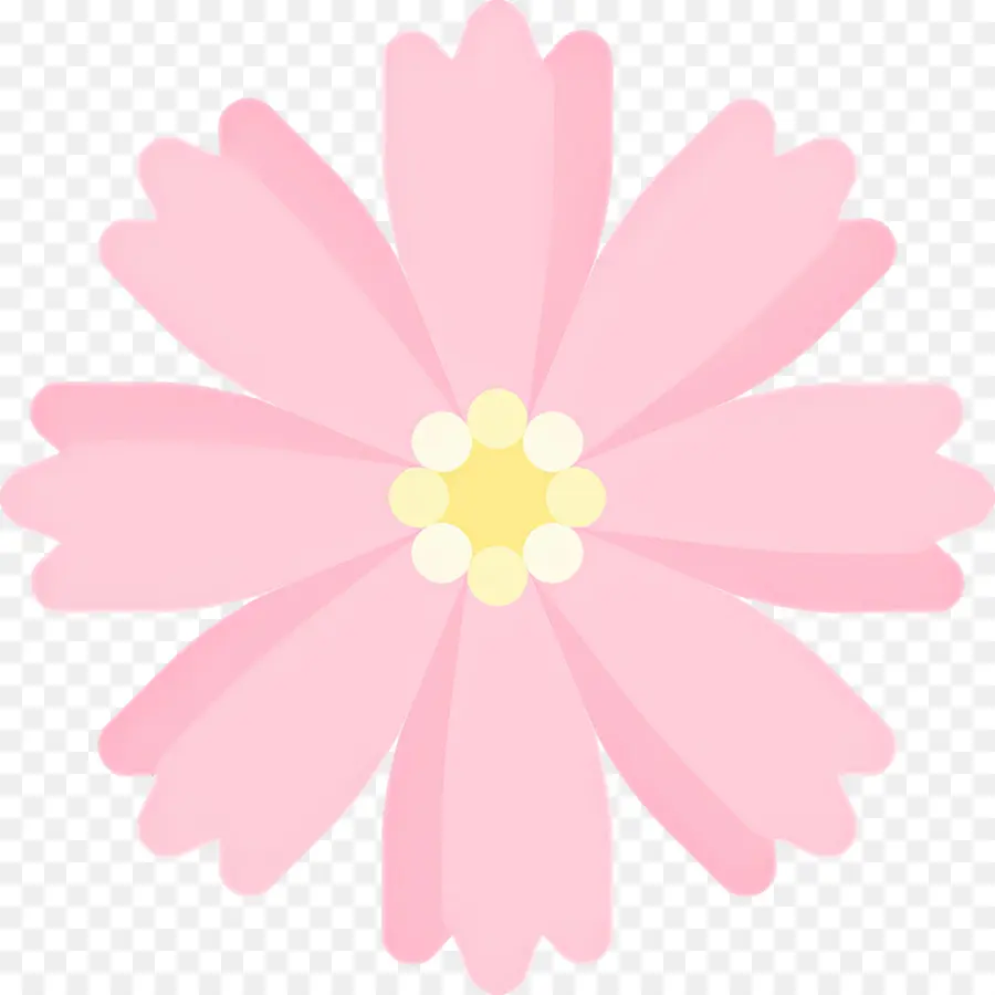 Flor Rosa，Flor PNG